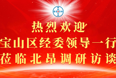 上海市宝山区经济委员会领导一行莅临北昂调研访谈